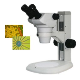 大景深双目立体显微镜ZOOM-380