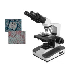 双目生物显微镜DYS-106
