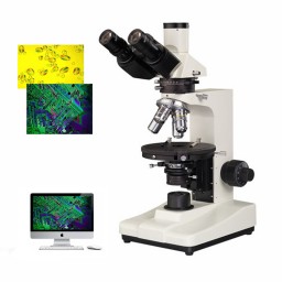 透射型偏光显微镜DYP-606