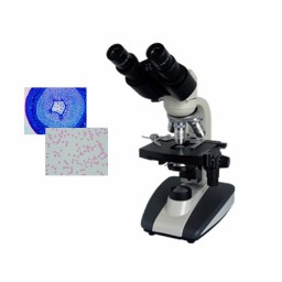 双目生物显微镜DYS-102