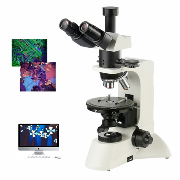 DYP-350无限远偏光显微镜
