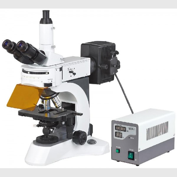 DYF-700科研型荧光显微镜