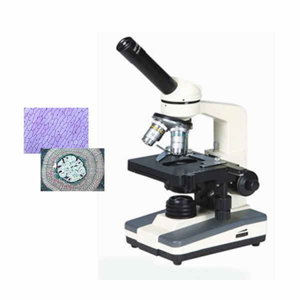 DYS-100单目生物显微镜