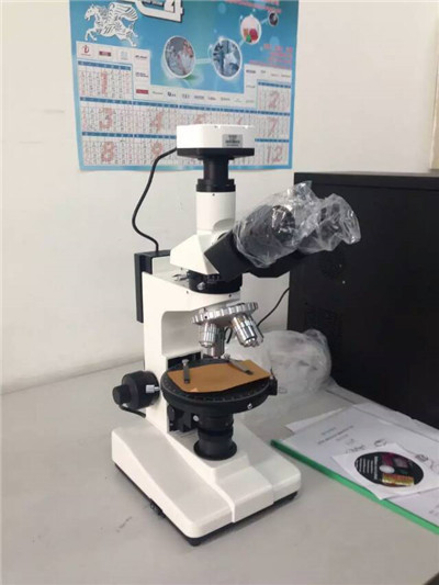 上海点应光学偏光显微镜