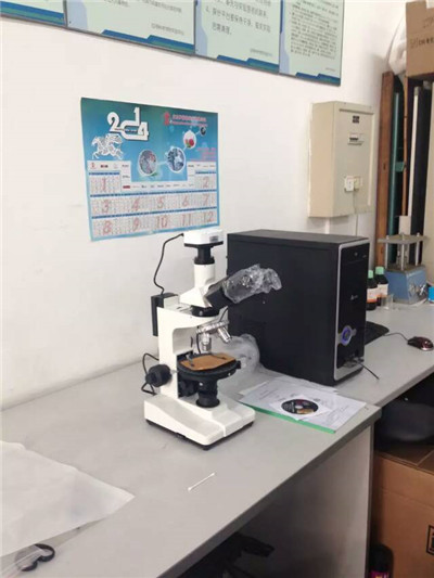 上海点应光学偏光显微镜DYP-702