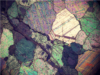 岩相显微镜图片