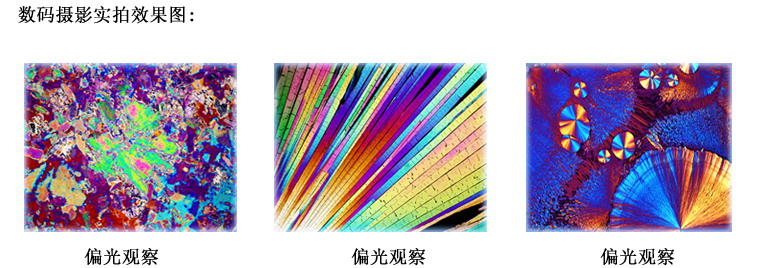 上海点应光学仪器有限公司偏光显微镜