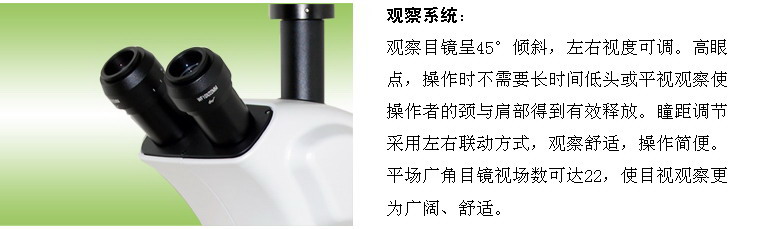 立体体式显微镜-上海点应光学仪器有限公司