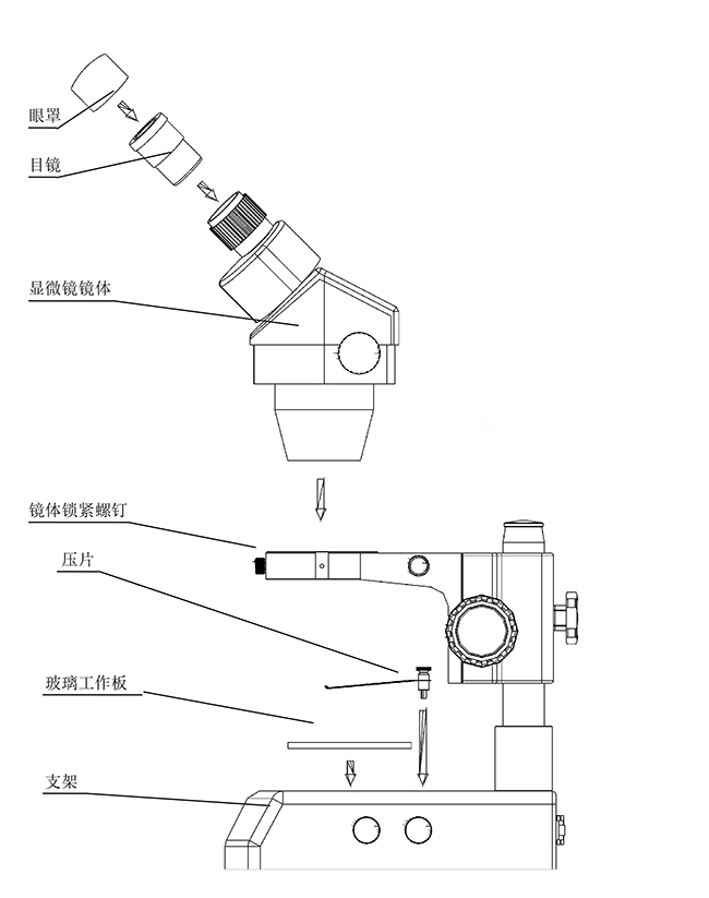 ZOOM-320立体显微镜-上海点应光学仪器有限公司