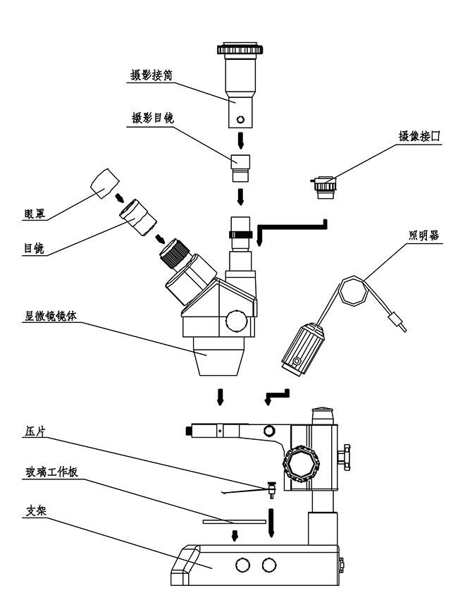 立体显微镜ZOOM-650-上海点应光学仪器有限公司